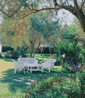 Oristano Bed & Breakfast | Il Bouganville
