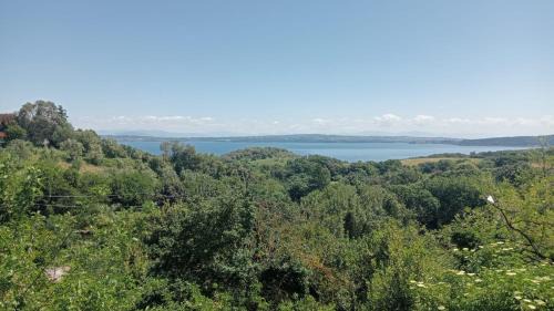 Lake Bracciano House | Il Camaleonte dal 2005
