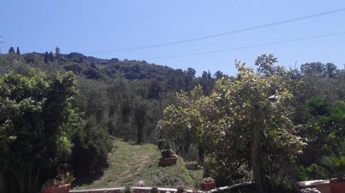 Camaiore Apartment | Il colle di Abramo casa vacanze Enrica