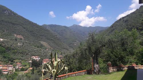 Camaiore Apartment | Il colle di Abramo casa vacanze Enrica