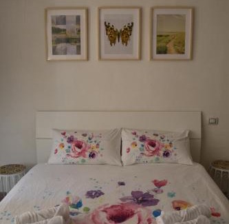 Iglesias House | Il Girasole