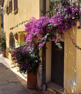 Rosignano Marittimo House | Il grillo