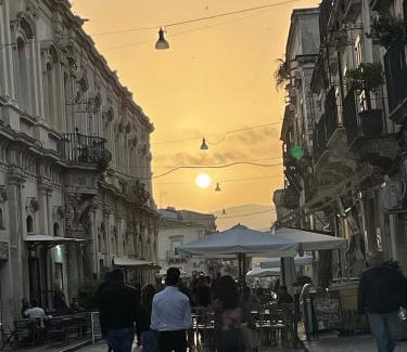 Noto House | Il gufo barocco