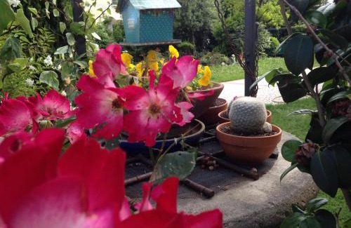 Porto Fuori Bed & Breakfast | Il Sentiero Del Cuore B&B