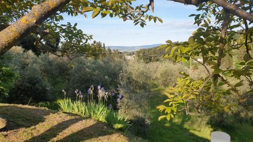 Florence House | Il Sottolo