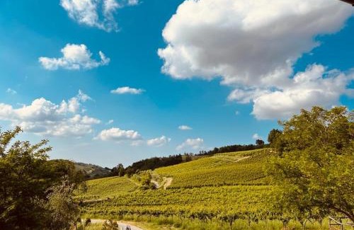 Canevino Apartment | Il vecchio granaio