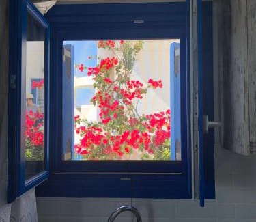 Donoussa Apartment | Iliovasilema VILLAGE