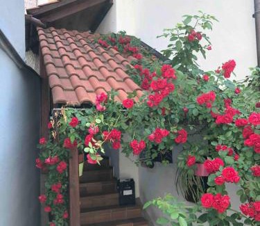 Insel Apartment | Im Rosenhof