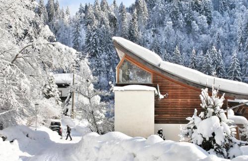Hopfgarten im Brixental Ski Chalet | Im Wald