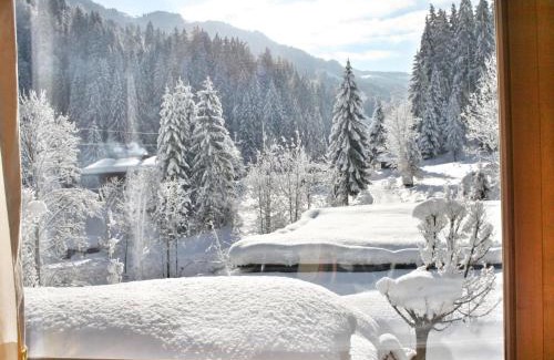 Hopfgarten im Brixental Ski Chalet | Im Wald