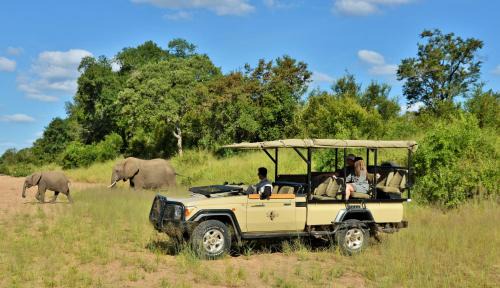 Kruger National Park Cabin | Imbali Safari Lodge