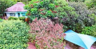 Hazyview House | Impala Niezel Lodge & Guest House