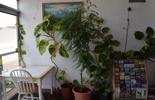 Odessa Hotel | Imperial Motel