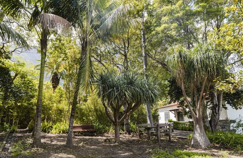 Sao Vicente Cottage | In Laurissilva Forest, Casa do Lanço -carvalho