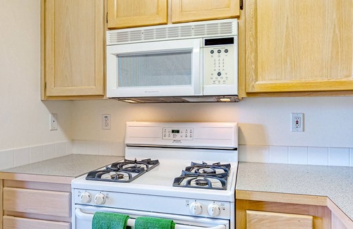 Oak Harbor Apartment | In-Law suite with mountain views, patio, jetted tub, & full kitchen