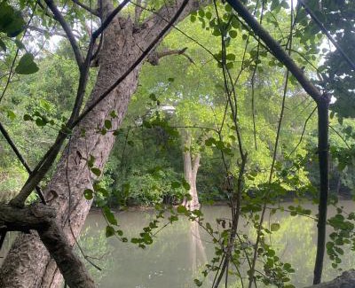 Polonnaruwa Resort | In the Wild by RoamCeylon