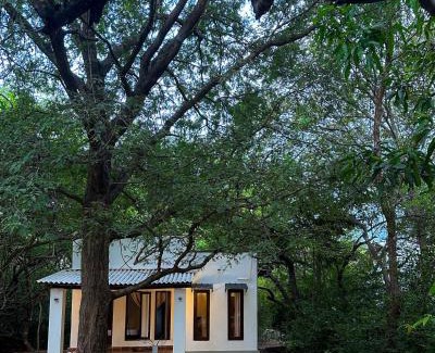 Polonnaruwa Resort | In the Wild by RoamCeylon