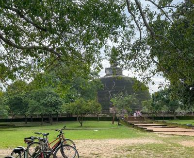 Polonnaruwa Resort | In the Wild by RoamCeylon