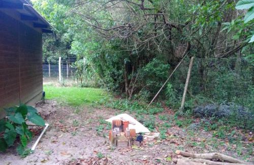 Muquem Other | Inature