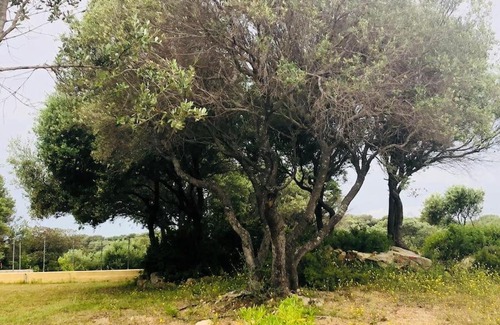 Palau House | Independent Villa in the nature near to the sea