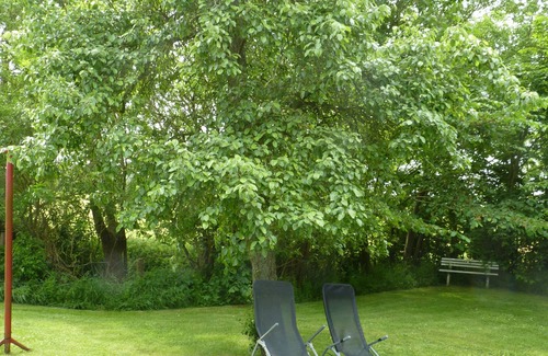 Osterhever House | Individual maisonette apartment with garden and terrace