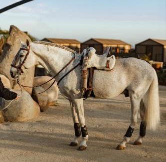 Valle de Guadalupe Other | Indomito Resort & Hotel Boutique