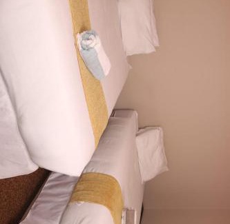 Ermelo House | Ingwenya Guesthouse