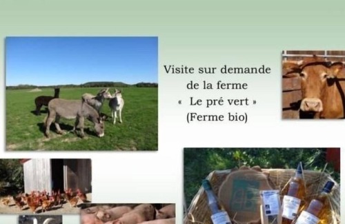Vrecourt Cottage | Inn Vrécourt, 2 bedrooms, 5 people