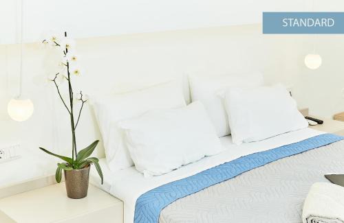 Ormos Prinou Hotel | Inspira Boutique Hotel Thassos - Adults Only