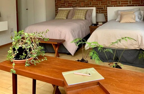 Magdalena Contreras Apartment | Inspiring Vintage Miniloft/Terrace/SurCdMx Garden