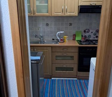Mali Radic Apartment | Insula