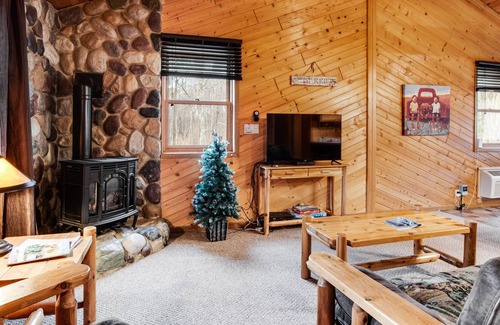 New Lisbon Cabin | Inviting dog-friendly cabin with hammock, fireplace, shared fishing pond, & A/C