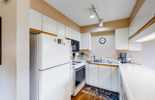 North Troy Condo | Inviting ski-in/out condo with mountain view, fireplace, deck & washer/dryer