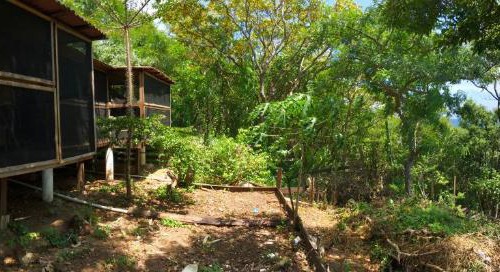 San Pedro Pochutla House | Ipacebra
