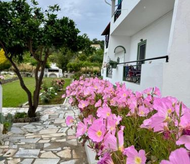 Arillas Apartment | Irene Studios