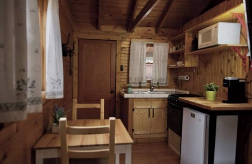 Lake City Cabin | Iris Cabin with Mountain Views