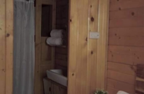 Lake City Cabin | Iris Cabin with Mountain Views