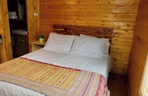 Lake City Cabin | Iris Cabin with Mountain Views