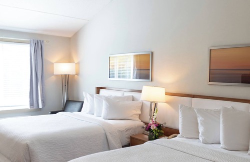 Teaticket Hotel | Iris Hotel Cape Cod