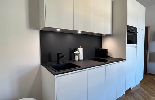 Waldshut-Tiengen Apartment | Isaak Apartment Löwenbau E2-W07
