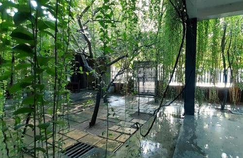 Anuradhapura Bed & Breakfast | Isi Arana Eco Villa