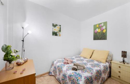 Santa Cruz de la Palma Apartment | Isla Bonita La Palma