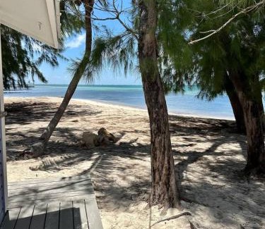 Rum Point House | Island House #16 at Rum Point