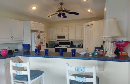 Fort Myers Beach Villa | Island Villa with 33 Foot Infinity Pool, Dock and Boat Access, Dolphin Visits