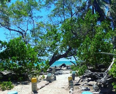 San Andres Hotel | Islander House on Rocky Cay Beach