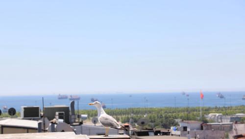 Beyazit Hotel | Istanbul Royal Hotel
