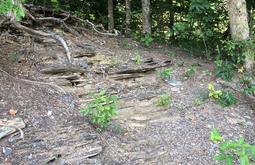 Windsor Cabin | It is a cabin house. Near in the lake where you can hike, walk, or fishing .