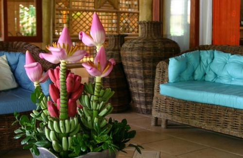 Itamambuca Resort | Itamambuca Eco Resort
