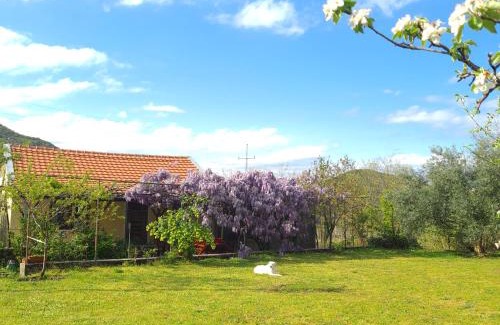 Karuc House | Ivan's Holiday Home