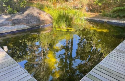 Hout Bay Apartment | Ixia studio-Serene, solar, pet friendly, garden and valley views